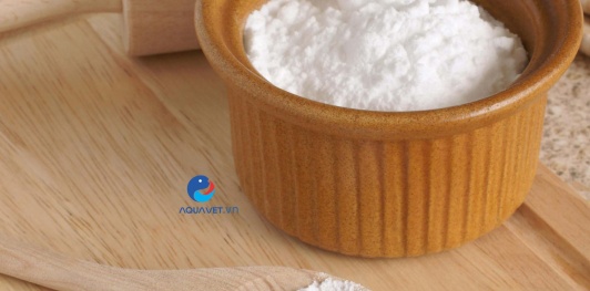 Sodium bicarbonate dùng trong thủy sản